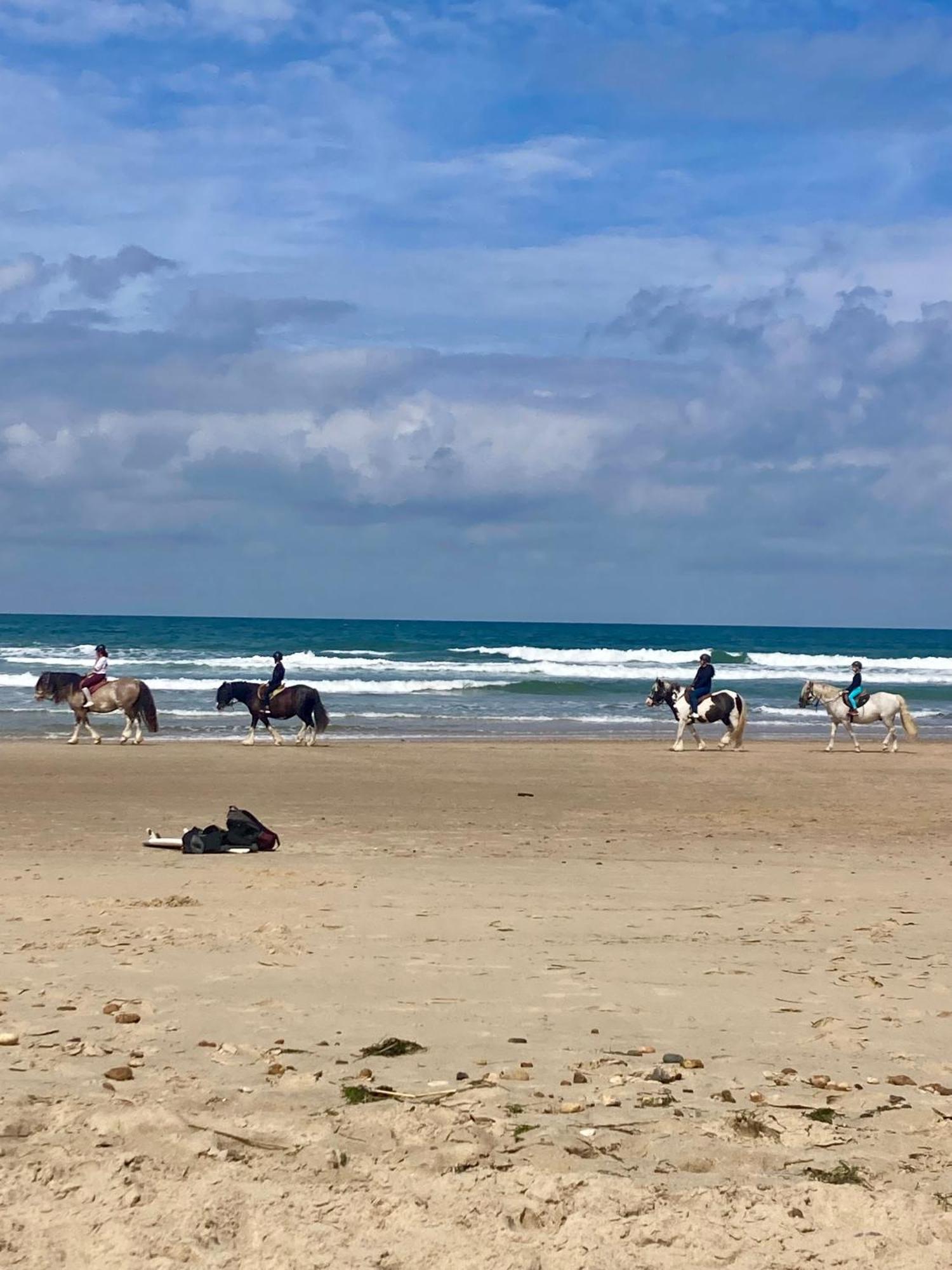 Mobil Home Happiness33 Dans Camping 5 Etoiles Acces Direct Plage Vendays Montalivet 外观 照片